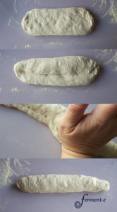 baguette-forma-fermente-001